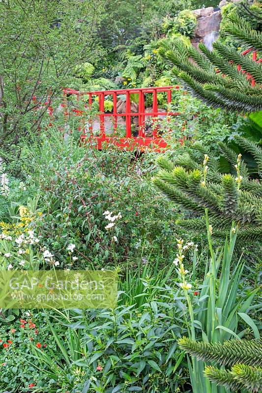 View through The Trailfinders 'Undiscovered Latin America' Garden at RHS Chelsea Flower Show 2019 to brightly coloured bridge. Design: Jonathan Snow. Sponsor: Trailfinders