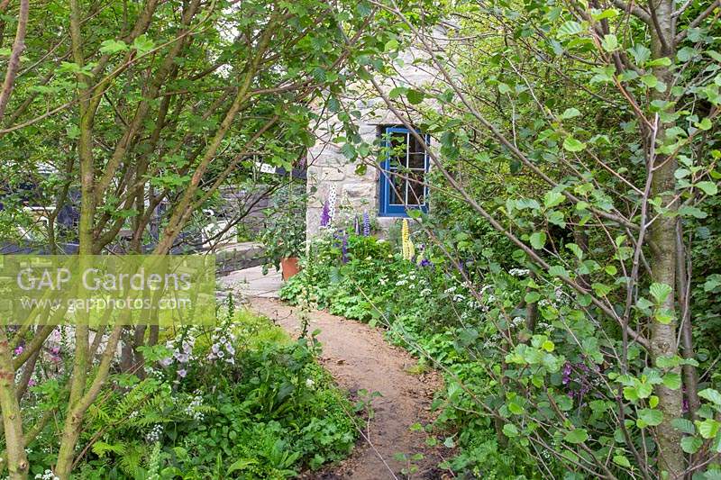The Welcome to Yorkshire Garden. Design: Mark Gregory - Sponsor: Welcome to Yorkshire - Gravel path leading through woodland planting to lock keepers lodge