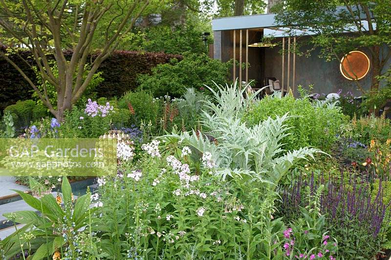 The Morgan Stanley Garden, view of the planting which includes Cynara cardunculus, Hesperis matronalis and Salvia nemorosa 'Caradonna', and at the back, the relaxation pod - Designer: Chris Beardshaw - Sponsor: Morgan Stanley
