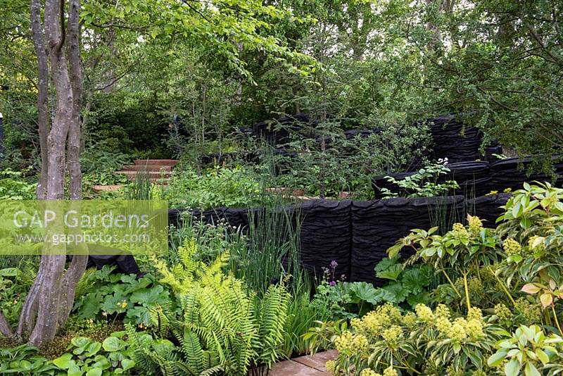 The M and G Garden. A lush woodland with blackened timber sculptures by Johnny Woodford, creating a dramatic backdrop for green understorey planting. Awarded an RHS Gold Medal. Designer: Andy Sturgeon. Sponsor: M and G - Chelsea Flower Show 2019