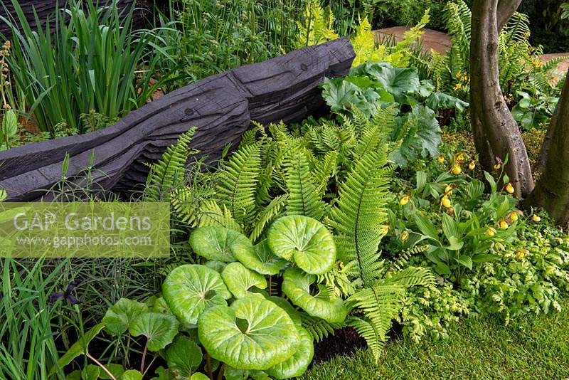 The M and G Garden. A lush woodland with blackened timber sculptures by Johnny Woodford, Awarded an RHS Gold Medal. Designer: Andy Sturgeon. Sponsor: M and G - Chelsea Flower Show 2019