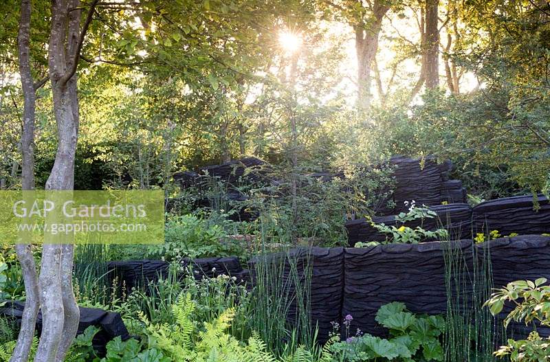 The M and G Garden, sunrise on woodland garden, shade loving plants, sustainable burnt oak timber sculpture by Johnny Woodford, – Designer: Andy Sturgeon - Sponsor: M and G Investments  
Chelsea Flower Show 2019