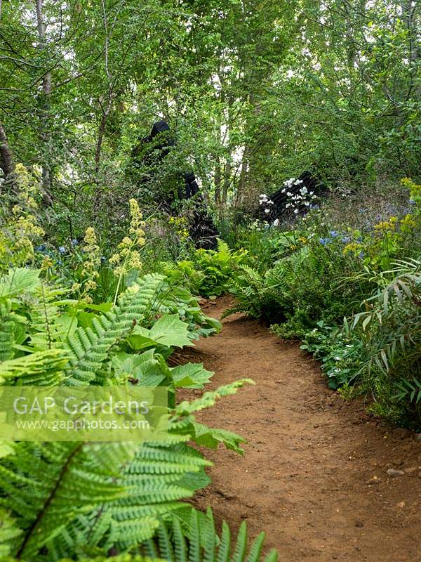 The M and G Garden. A sandy path leads you through the lush green planting of the garden. - Designer: Andy Sturgeon  - Sponsor: M and G Investments