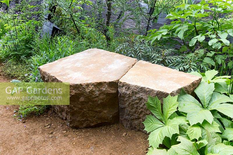 The M and G Garden, view of green planted woodland garden with shade loving plants, English ironstone stone bench seat, gravel path through woods, charred oak sculpture by Johnny Woodford – Designer: Andy Sturgeon - Sponsor: M and G 