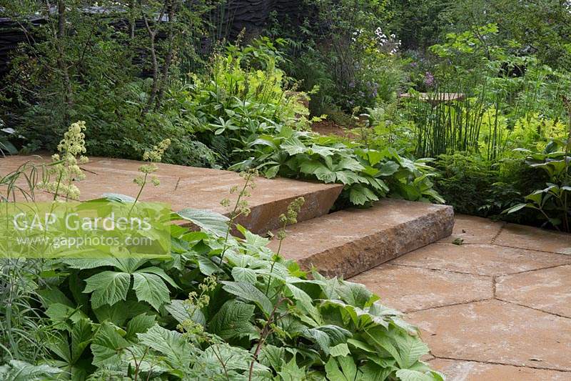 The M and G Garden, view of green garden planted with shade loving plants in a woodland garden, ironstone paving and steps – Designer: Andy Sturgeon - Sponsor: M and G 