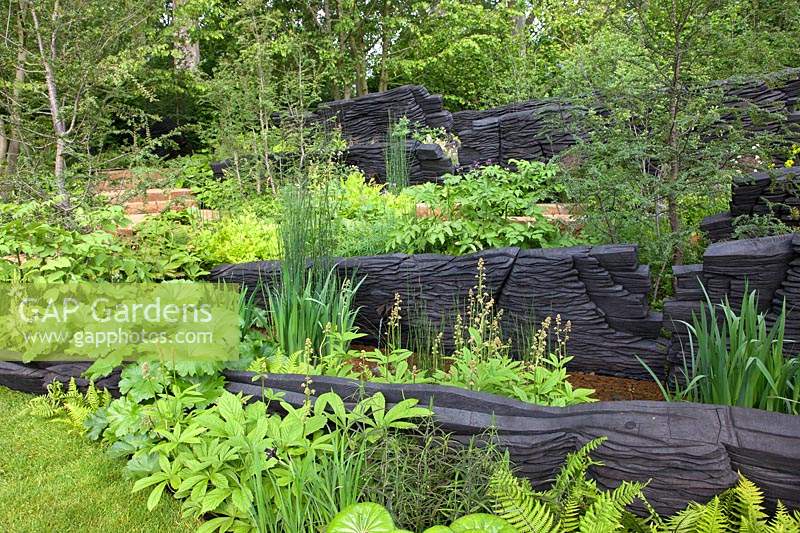 The M and G Garden 2019, view of the woodland inspired garden where the planting includes Rodgersias, ferns, Equisetum hyemale and where burnt oak sculptures represent rock formations - Designer: Andy Sturgeon - Sponsor: M and G investments