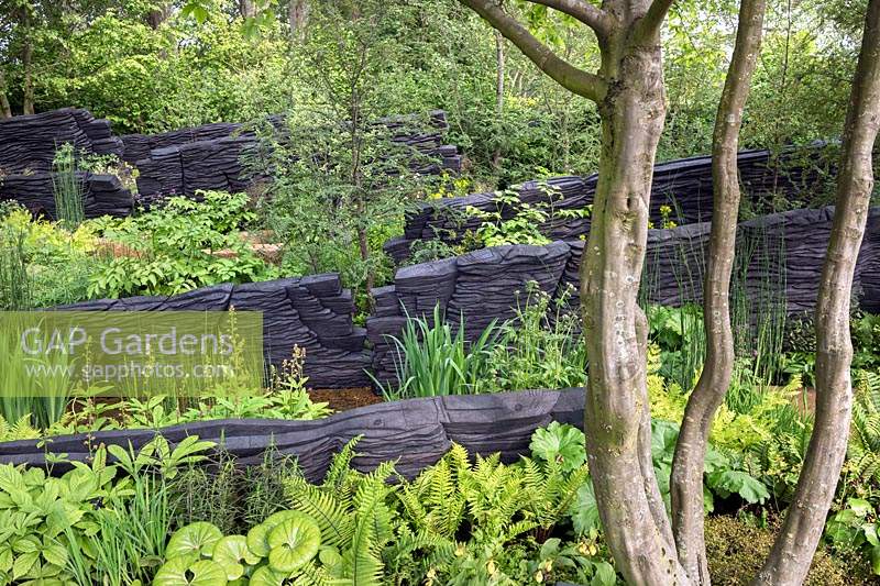 Woodland garden with blackened timber walls - Shou Sugi Ban, The M and G Garden, Design: Andy Sturgeon, Sponsor: M and G Investments