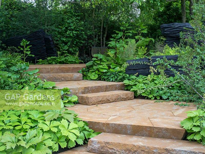 The M and G Garden. Large stone steps lead you up through the lush green planting of the garden. - Designer: Andy Sturgeon  - Sponsor: M and G Investments