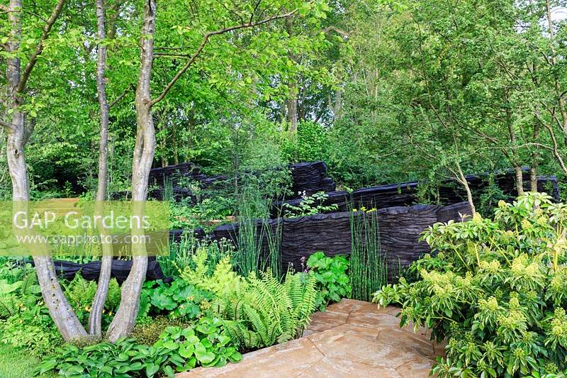 The M and G Garden Designer:  Andy Sturgeon  - Sponsor: M and G Investments Gold medal, Best in Show.
Mixed foliage planting and charred black wooden sculpture