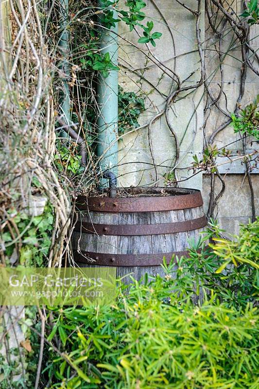 A wooden water butt by side of the house. The Sundial Garden, Highgrove, March, 2019.