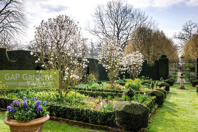 Formal flowerbeds bordered with clipped hedging in The Sundial Garden, Highgrove, March, 2019.