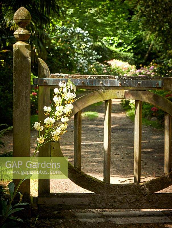 Wooden gates at The Winterborne Garden, Highgrove, June, 2019.

