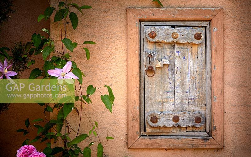 Wooden hatch door in orange painted wall, surrounded by flowering Clematis and Rose. The Carpet Garden, Highgrove, June, 2019.
