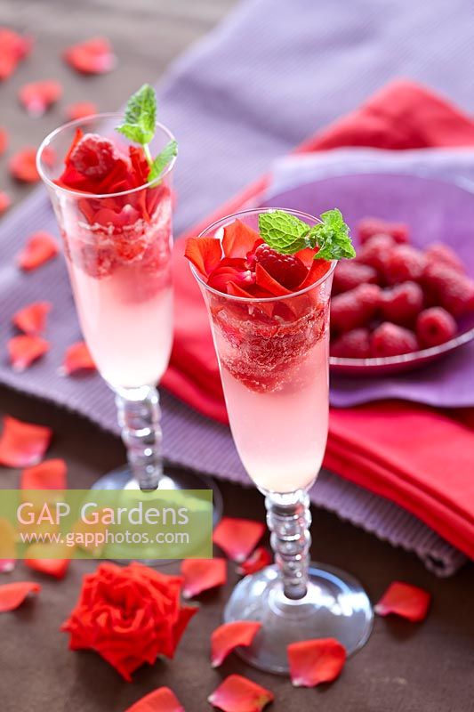 Gin cocktail with rose petals