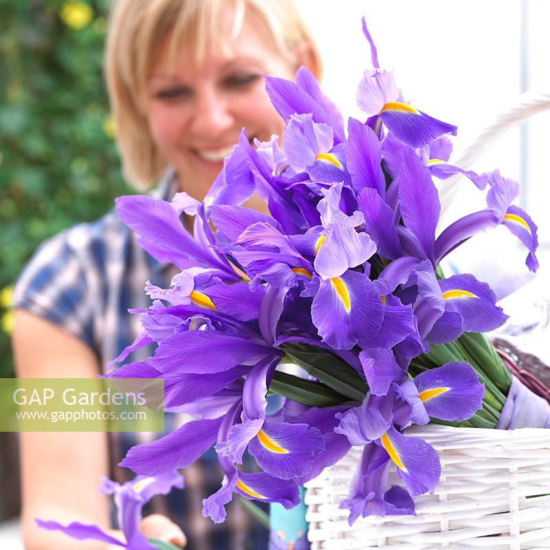 Iris Discovery in basket