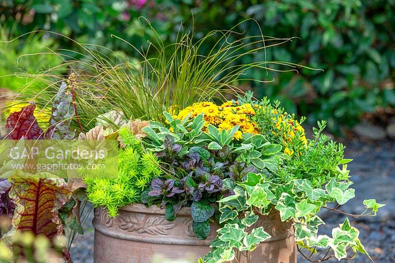 Fall plant container