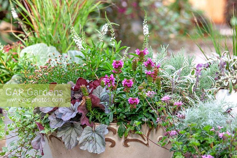 Fall plant container in pink color tones