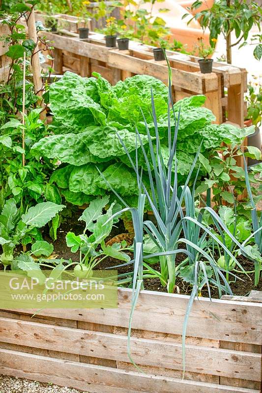 Vegetable border made from palettes