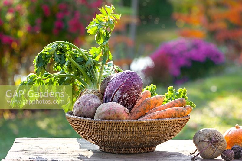 Vegetable mix in basket