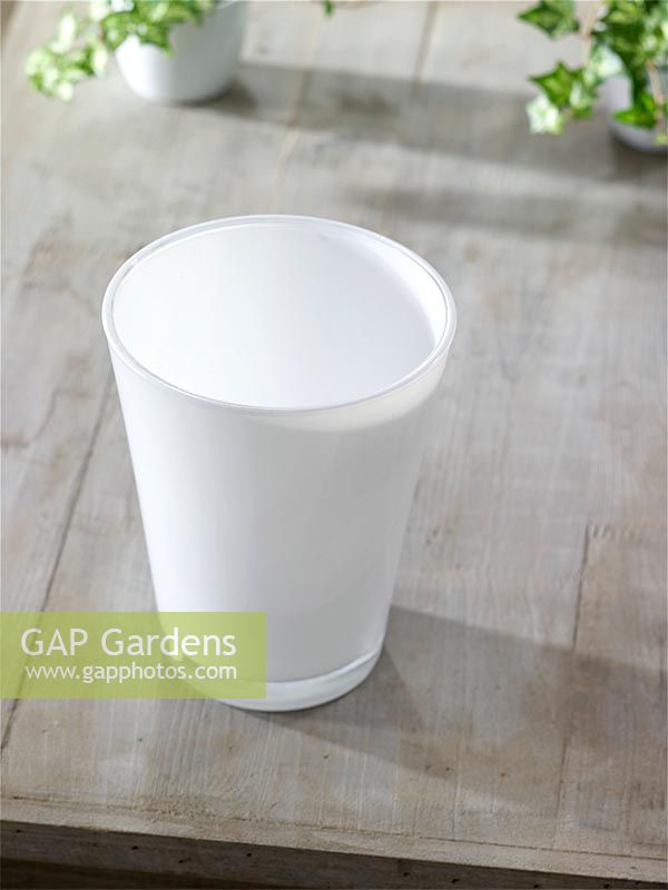 Glas cachepot for indoor plants
