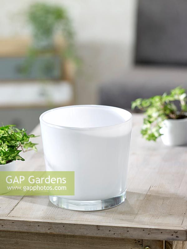 Glas cachepot for indoor plants