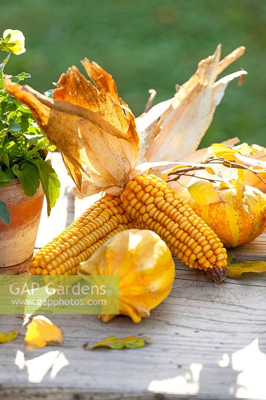 Fall decoration in yellow color tones