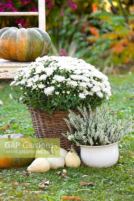 Fall decoration in white color tones
