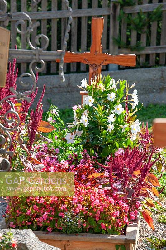 Grave planting with annuals