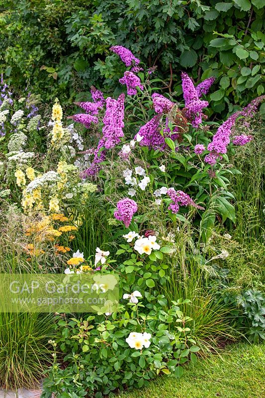 Planting with perennials and Buddleja