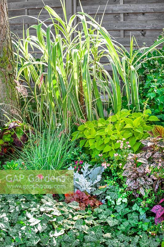 Fall planting with ornamental grasses