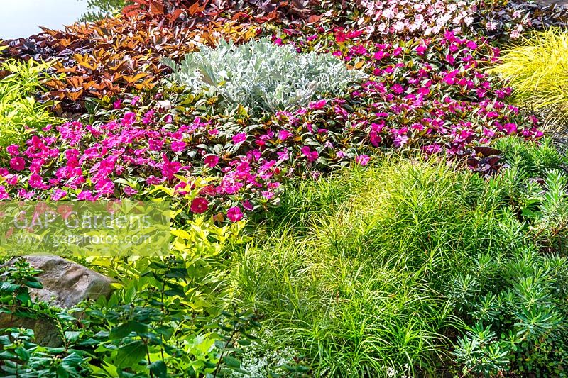 Annual mix with ornamental grasses