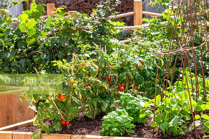 Raised bed with vegetables