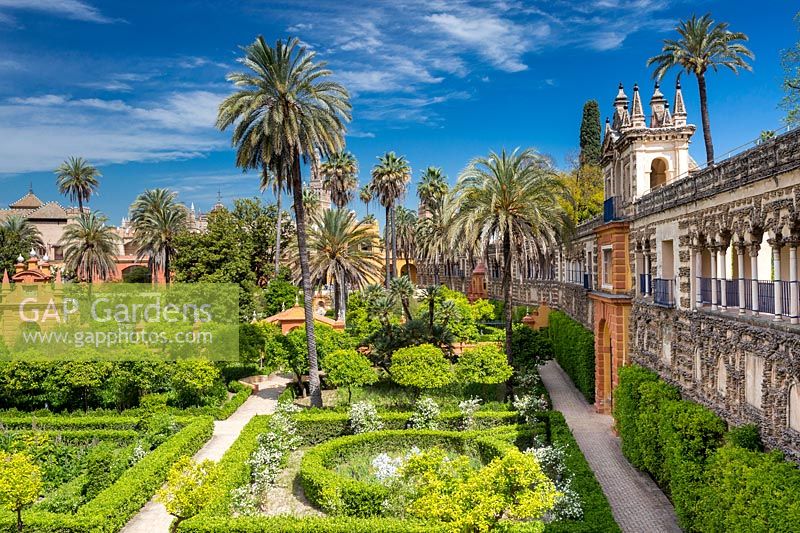 Formal parterre gardens with laurel hedging, Real Alcazar, Seville.