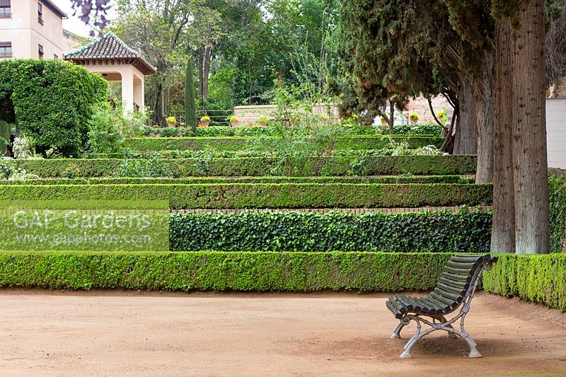 Jardines del Partal with wooden bench and terraces edged in box - Buxus sempervirens and ivy. The Alhambra, Granada.