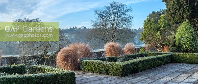 Boxwood parterre at Borde Hill in winter, December.