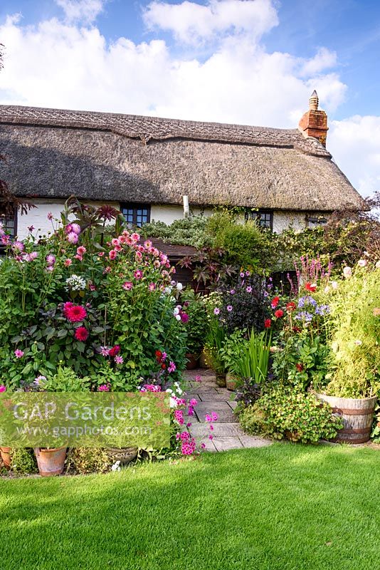 Thatched cottage with dahlias, annuals and perennials, Hilltop garden, July.