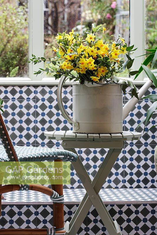 Cream metal watering can filled with Narcissus 'Grade Soleil d'Or' on table in tiled conservatory