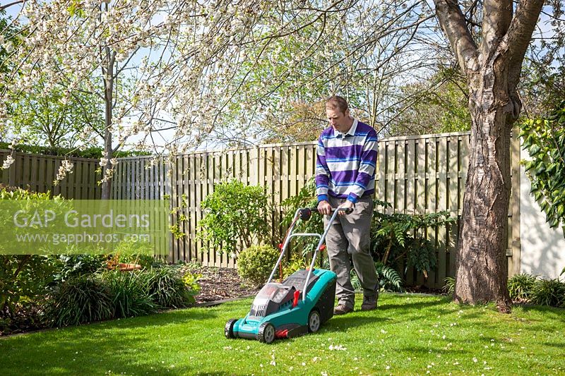 Mowing the lawn with a rechargeable lawnmower 