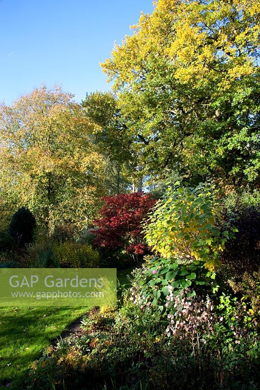 The canopies of trees create layers of colour in the Autumn garden