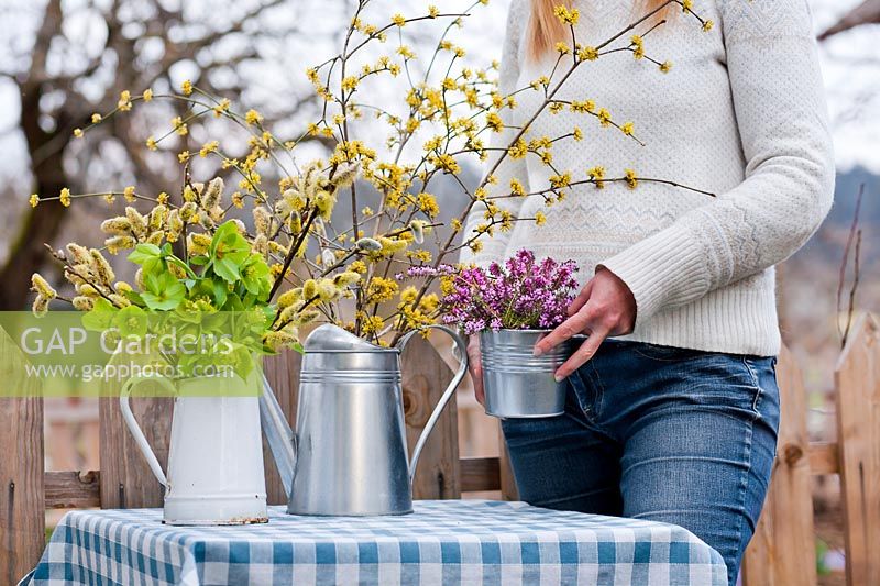 Woman making floral arrangements with catkins, heathers, Cornelian Cherry  and hellebores.