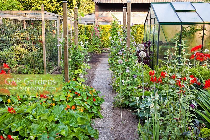 Vegetable garden with greenhouse and beds.
