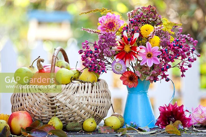Jug of autumn flowers including Hydrangea, Sedum, Solidago, Gladiolus, Dahlia, Clerodendrum trichotomum and Chrysanthemum, next to basket of harvested pears and pumpkins on a table.
