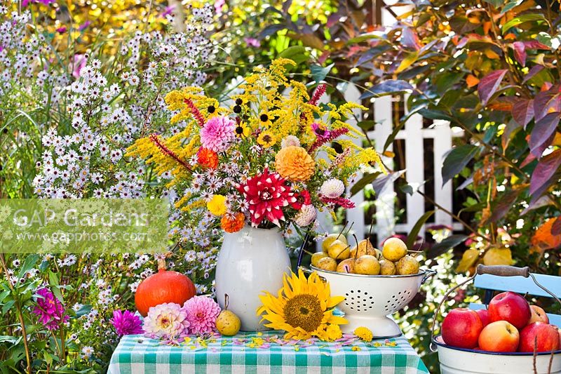 Display of harvested flowers and fruit on table in garden with late-flowering asters