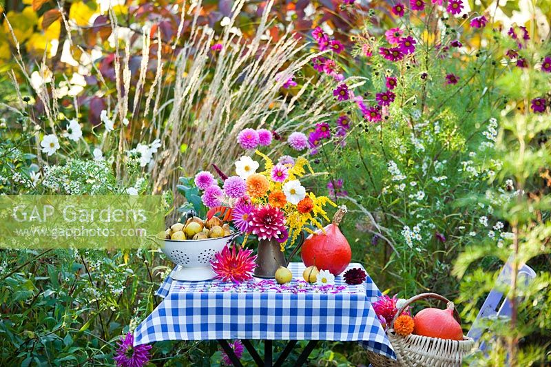 Display of harvest with jug of autumn flowers including Dahlia, Solidago and Zinnia.