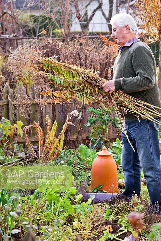 Clean up vegetable garden in autumn. Remove all of the spent plant material from the garden.