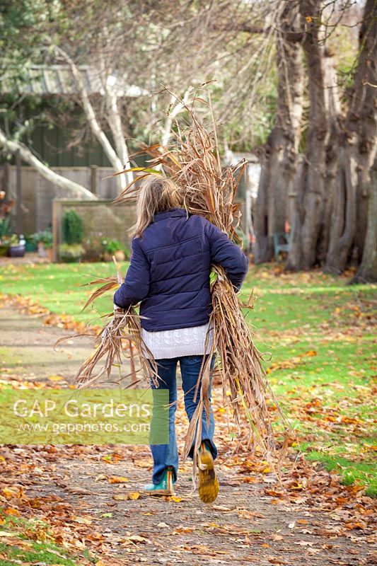 Woman carrying old foliage and garden waste off to the compost heap.