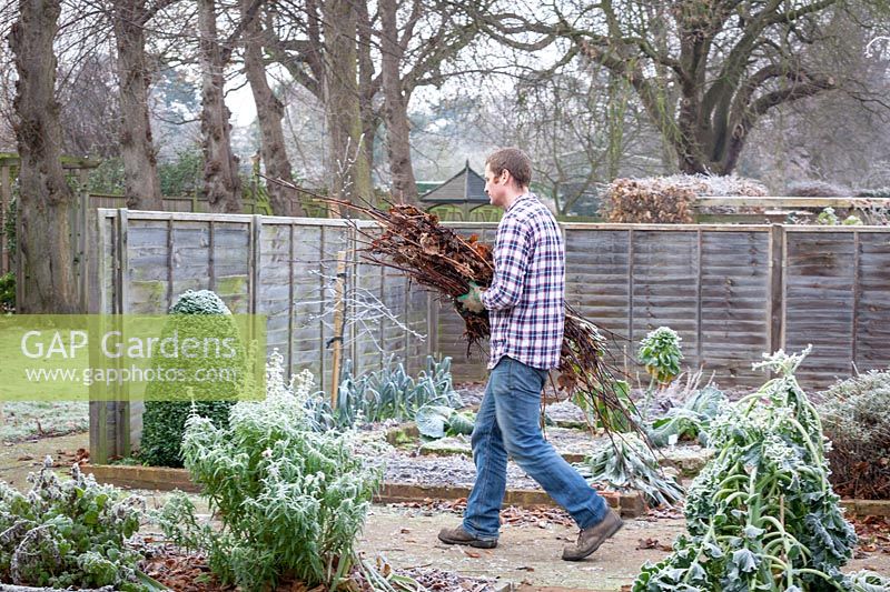Man cutting down and clearing up debris from the vegetable plot. 