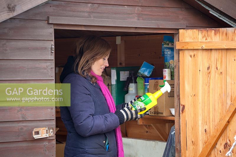Woman tidying chemicals and sprays a shed.
