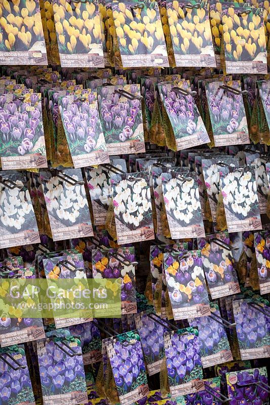 Packets of crocus bulbs for sale in a garden centre
