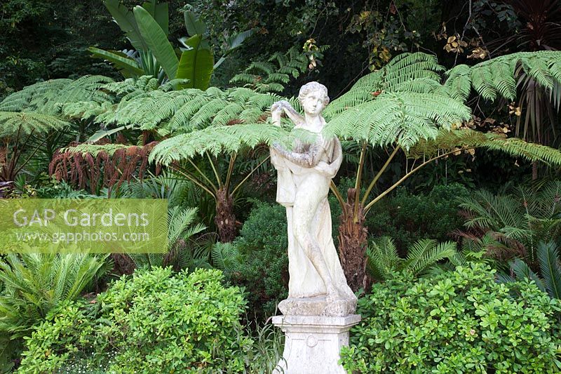 Statue of Aphrodite - Venus - on The Promenade of The Gods surrounded by Tree Ferns. Sintra, Portugal.